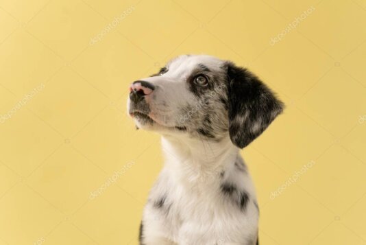 Scatto in studio con luci soffuse e macchina fotografica